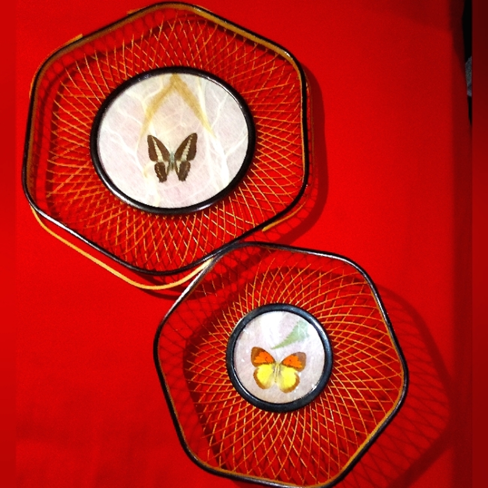 2 Vintage Real Butterfly Wing Baskets